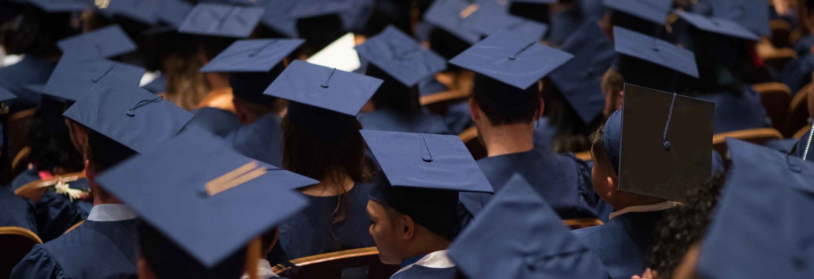 banner image scroll down